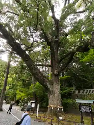 事任八幡宮の{uncategorized: "未分類", other: "その他", undefined: "問題あり", building: "その他建物", grave: "お墓", sacred_gate: "鳥居", guardian: "狛犬", statue: "像", buddha: "仏像", history: "歴史", nature: "自然", garden: "庭園", animal: "動物", pagoda: "塔", temizu: "手水舎", mountain_gate: "山門・神門", sanctuary: "本殿・本堂", subordinate: "末社・摂社", art: "芸術", scenery: "景色", jizo: "地蔵", ema: "絵馬", goshuin: "御朱印", omikuji: "おみくじ", items: "授与品その他", amulet: "お守り", goshuincho: "御朱印帳", eats: "食事", festival: "お祭り", votive_dance: "神楽", shichigosan: "七五三参", wedding: "結婚式", experience: "体験その他", initially: "初詣", around: "周辺", anti_infection: "感染症対策"}