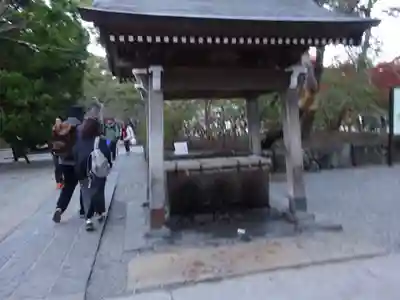 高徳院の手水舎