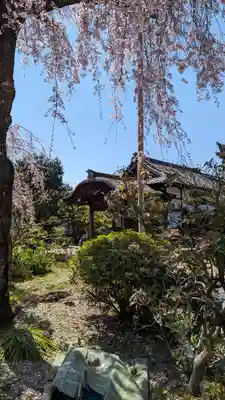 法金剛院(京都府)