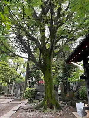 長円寺(東京都)