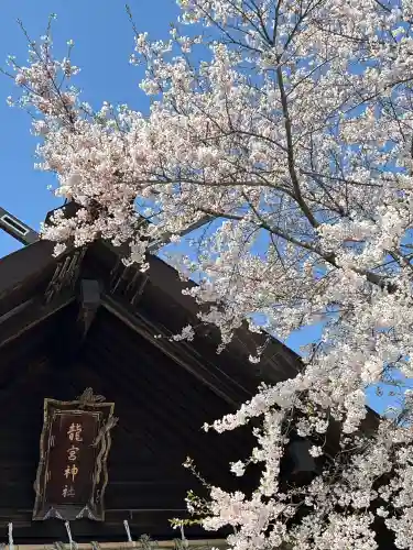 龍宮神社の{uncategorized: "未分類", other: "その他", undefined: "問題あり", building: "その他建物", grave: "お墓", sacred_gate: "鳥居", guardian: "狛犬", statue: "像", buddha: "仏像", history: "歴史", nature: "自然", garden: "庭園", animal: "動物", pagoda: "塔", temizu: "手水舎", mountain_gate: "山門・神門", sanctuary: "本殿・本堂", subordinate: "末社・摂社", art: "芸術", scenery: "景色", jizo: "地蔵", ema: "絵馬", goshuin: "御朱印", omikuji: "おみくじ", items: "授与品その他", amulet: "お守り", goshuincho: "御朱印帳", eats: "食事", festival: "お祭り", votive_dance: "神楽", shichigosan: "七五三参", wedding: "結婚式", experience: "体験その他", initially: "初詣", around: "周辺", anti_infection: "感染症対策"}