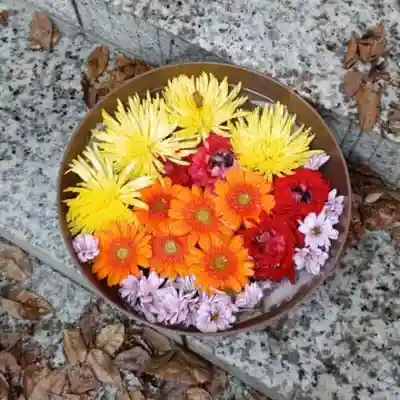 彌彦神社　(伊夜日子神社)の芸術