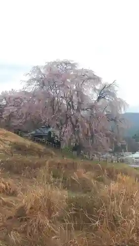 勝間薬師堂(長野県)