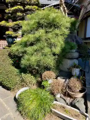 還国寺(東京都)