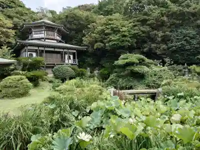 光明寺(神奈川県)