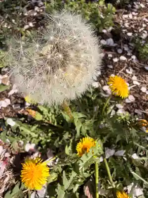 鹿嶋三嶋神社(茨城県)