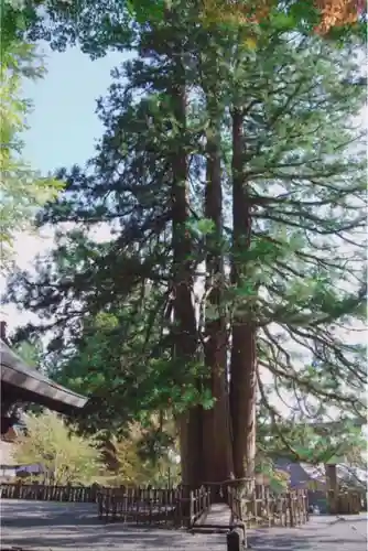 戸隠神社中社のその他建物