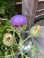 戸越八幡神社の自然