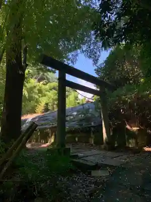 諏訪神社の鳥居