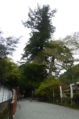 室生寺のその他建物