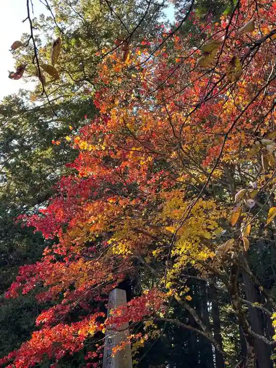 北口本宮冨士浅間神社(山梨県)