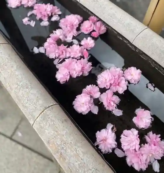 養願寺(東京都)