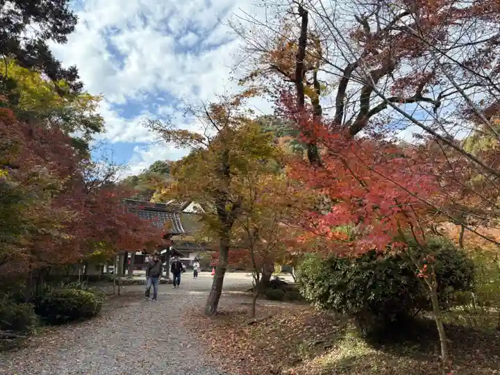 安国寺(京都府)