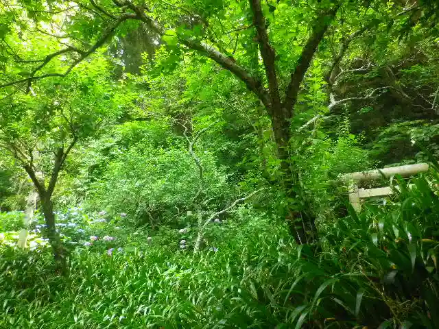 荏柄天神社の自然