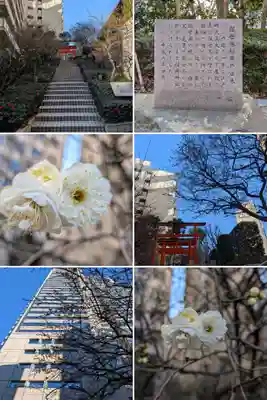 銀世界稲荷神社(東京都)