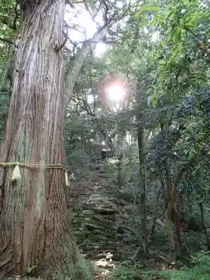 阿太賀都健御熊命神社の自然