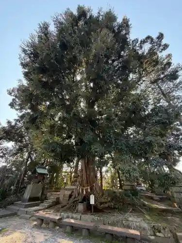 揖夜神社の{uncategorized: "未分類", other: "その他", undefined: "問題あり", building: "その他建物", grave: "お墓", sacred_gate: "鳥居", guardian: "狛犬", statue: "像", buddha: "仏像", history: "歴史", nature: "自然", garden: "庭園", animal: "動物", pagoda: "塔", temizu: "手水舎", mountain_gate: "山門・神門", sanctuary: "本殿・本堂", subordinate: "末社・摂社", art: "芸術", scenery: "景色", jizo: "地蔵", ema: "絵馬", goshuin: "御朱印", omikuji: "おみくじ", items: "授与品その他", amulet: "お守り", goshuincho: "御朱印帳", eats: "食事", festival: "お祭り", votive_dance: "神楽", shichigosan: "七五三参", wedding: "結婚式", experience: "体験その他", initially: "初詣", around: "周辺", anti_infection: "感染症対策"}