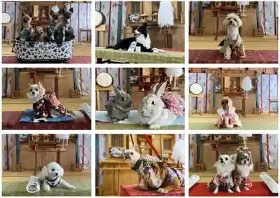 福島八幡宮(福岡県)