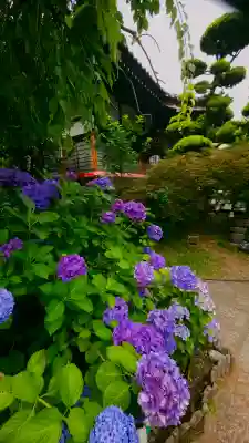 法輪寺(東京都)