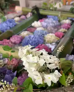 立志神社(滋賀県)(2026年06月14日(日) 12時55分47秒投稿)