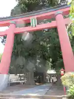 河口浅間神社の鳥居