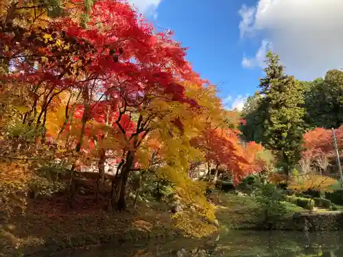 洞光寺(兵庫県)