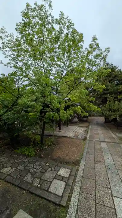 御霊神社(上御霊神社)(京都府)