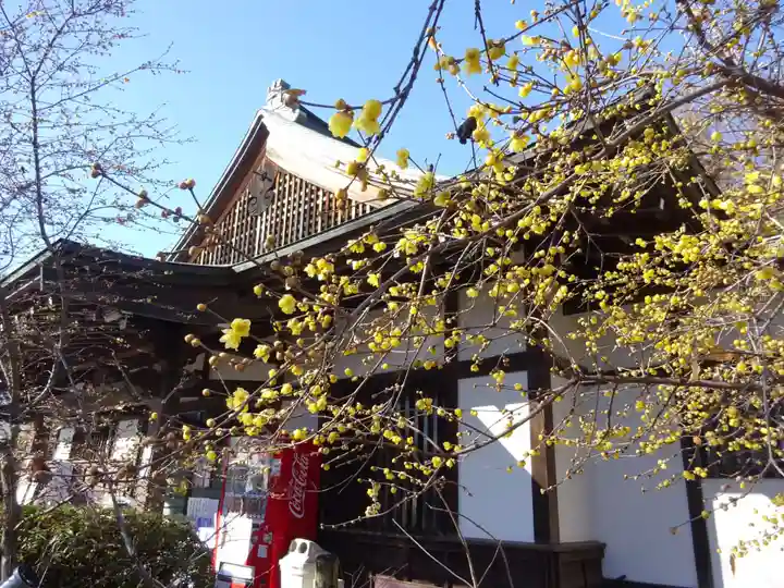横浜 西方寺(神奈川県)