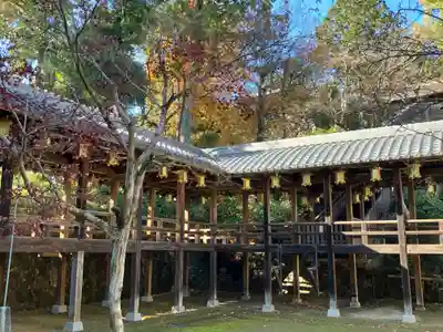 光明寺（粟生光明寺）(京都府)