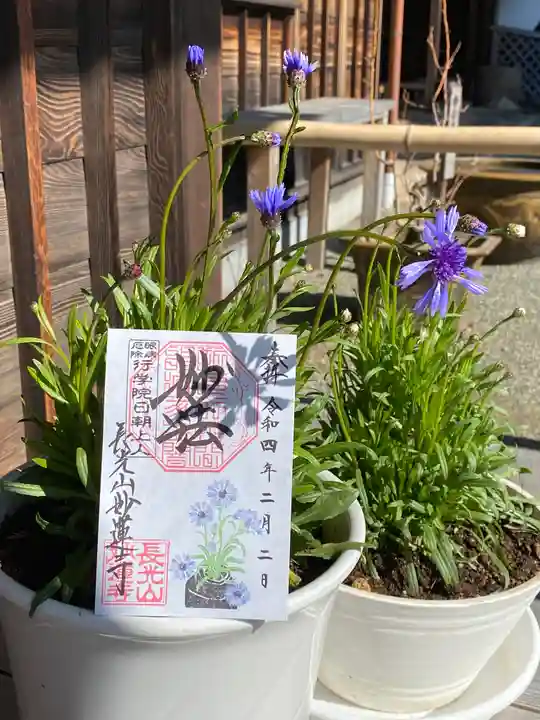 妙蓮寺の御朱印