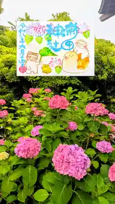 菊田神社の御朱印