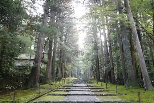 平泉寺白山神社(福井県)