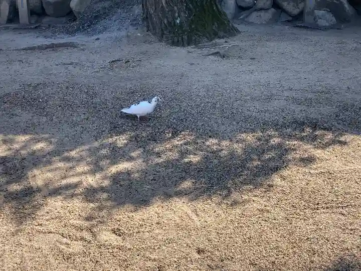 津門神社(兵庫県)