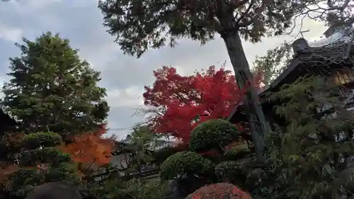 霊源院(京都府)