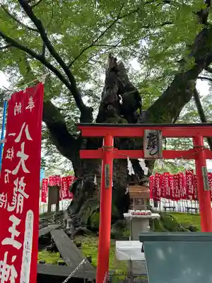 秩父今宮神社(埼玉県)