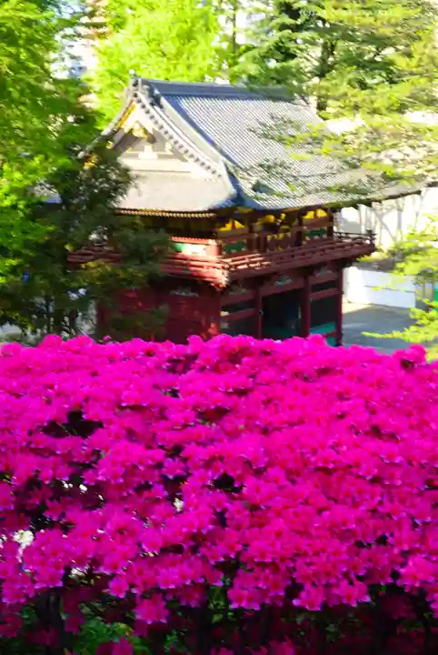 根津神社(東京都)