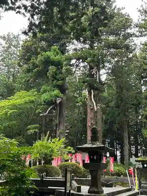北口本宮冨士浅間神社(山梨県)