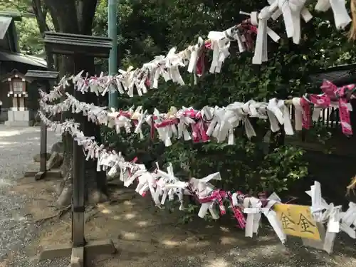 東郷神社のおみくじ