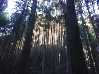 名草厳島神社(栃木県)