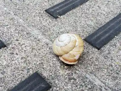 平野八幡神社の動物