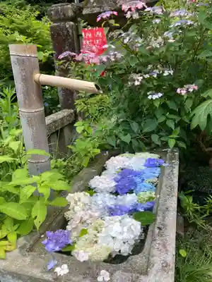 連祥院(栃木県)