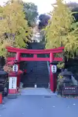 愛宕神社の鳥居