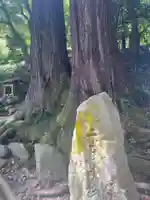 長谷寺(奈良県)