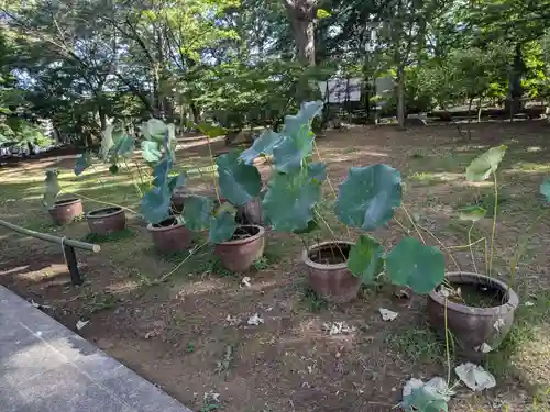 淨眞寺(東京都)