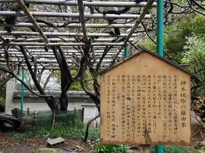 住吉神社のその他建物