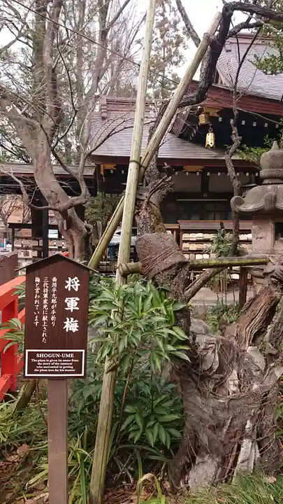 愛宕神社の自然