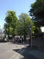 滝野川八幡神社のその他建物