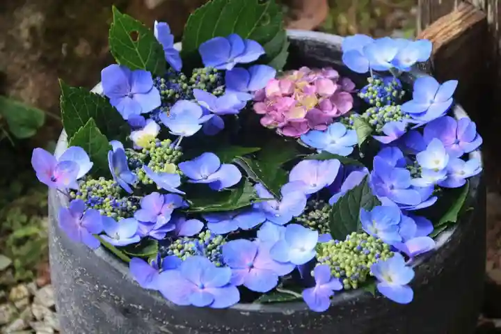 三春大神宮の手水舎