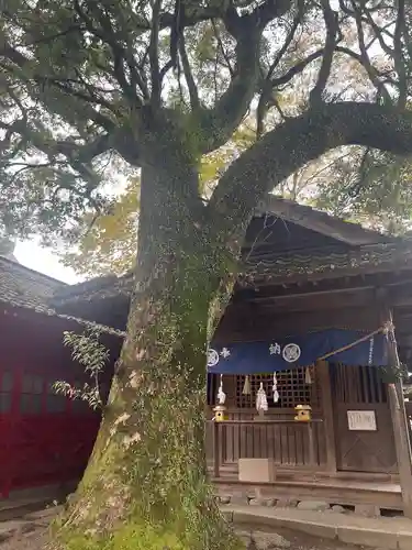 青井阿蘇神社(熊本県)