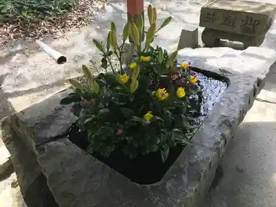 大己貴神社(福岡県)
